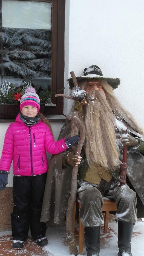 Vila Jensen Harrachov Kültér fotó